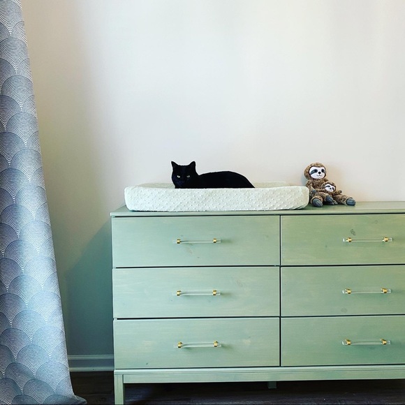 Meet the Posher! - Picture 4 of 4